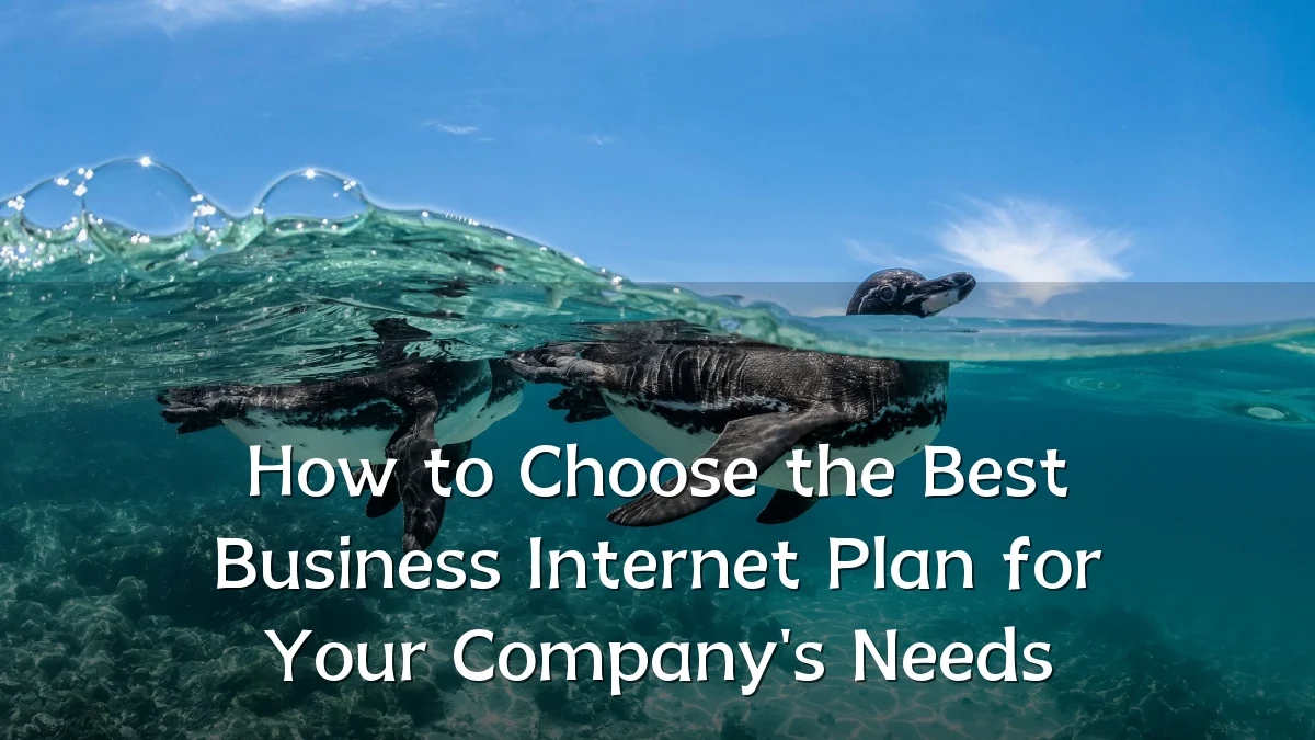 How to Choose the Best Business Internet Plan for Your Company's Needs