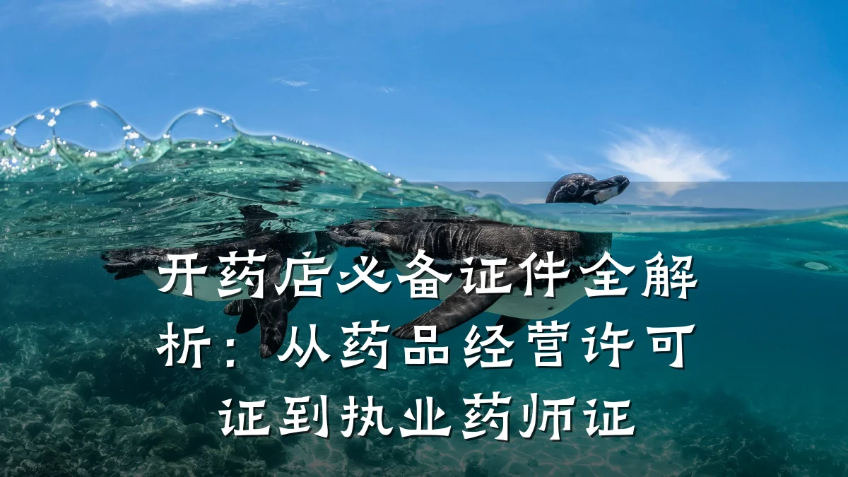 开药店必备证件全解析:从药品经营许可证到执业药师证