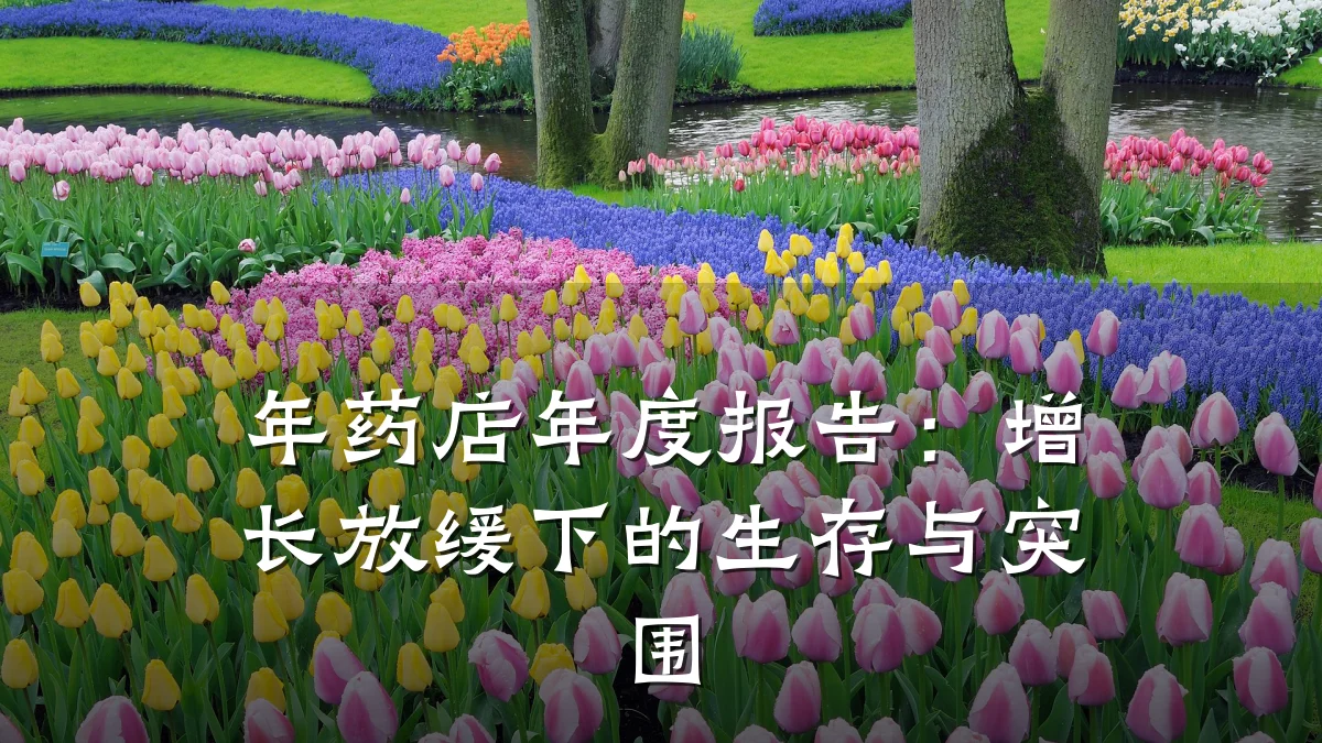 年药店年度报告:增长放缓下的生存与突围