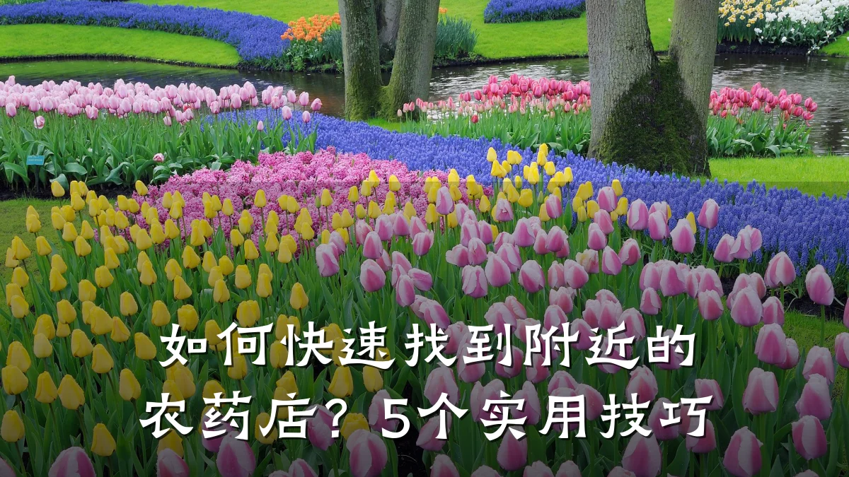 如何快速找到附近的农药店?5个实用技巧