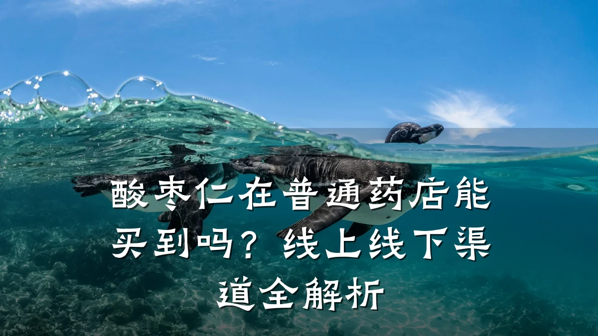 酸枣仁在普通药店能买到吗？线上线下渠道全解析