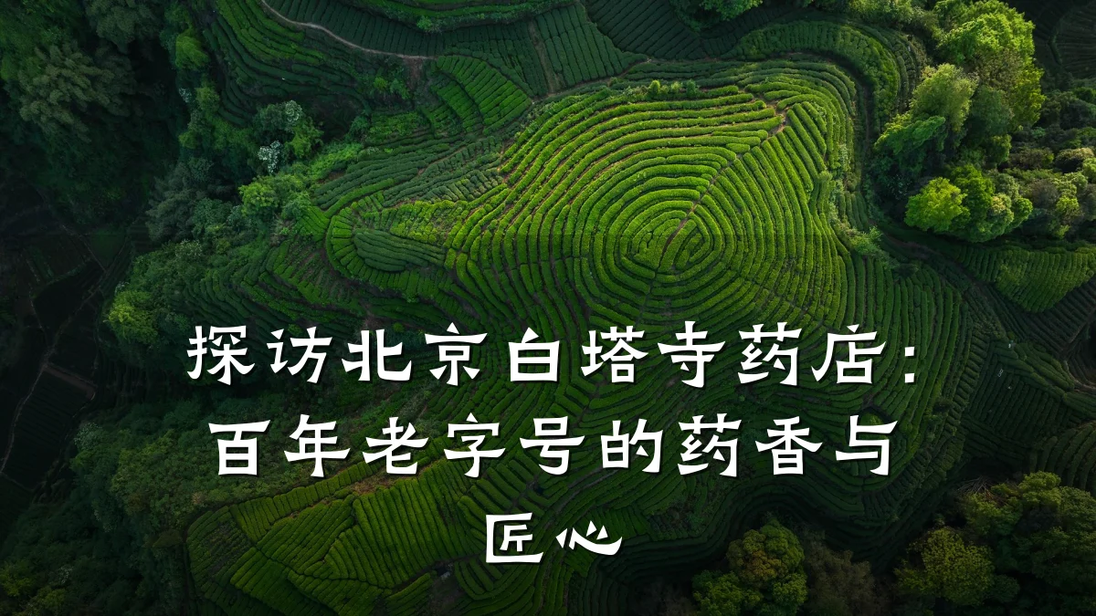 探访北京白塔寺药店:百年老字号的药香与匠心