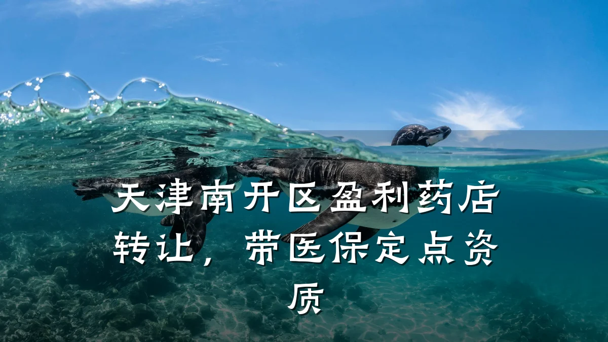 天津南开区盈利药店转让，带医保定点资质