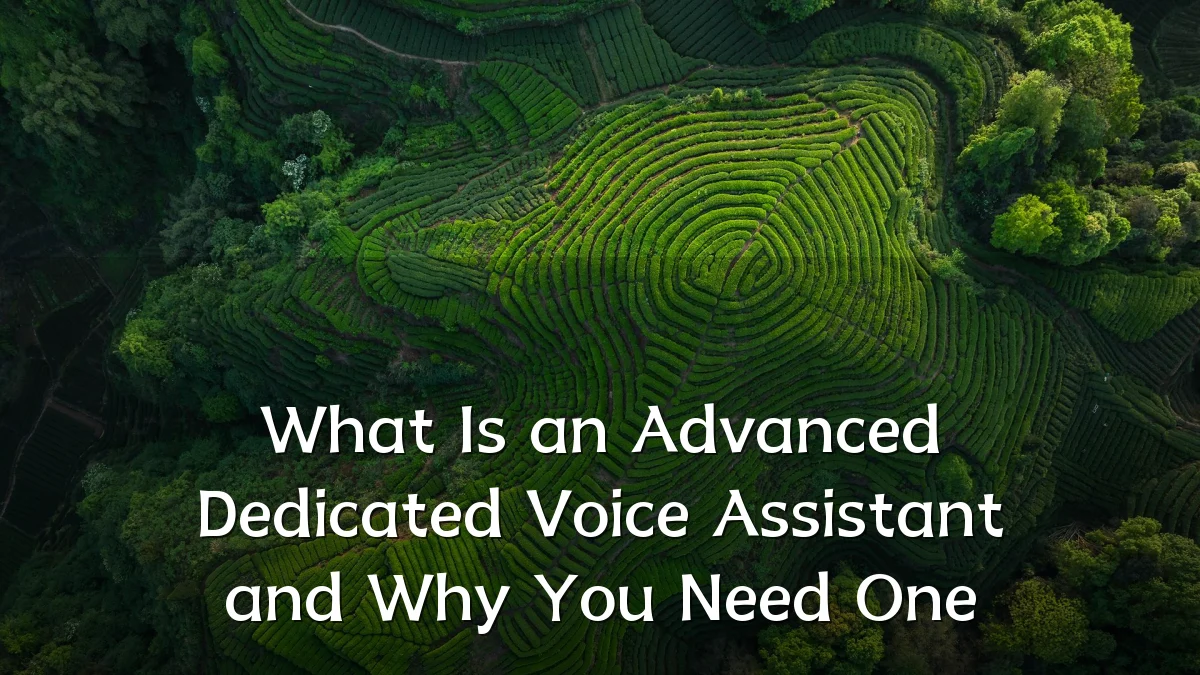 What Is an Advanced Dedicated Voice Assistant and Why You Need One