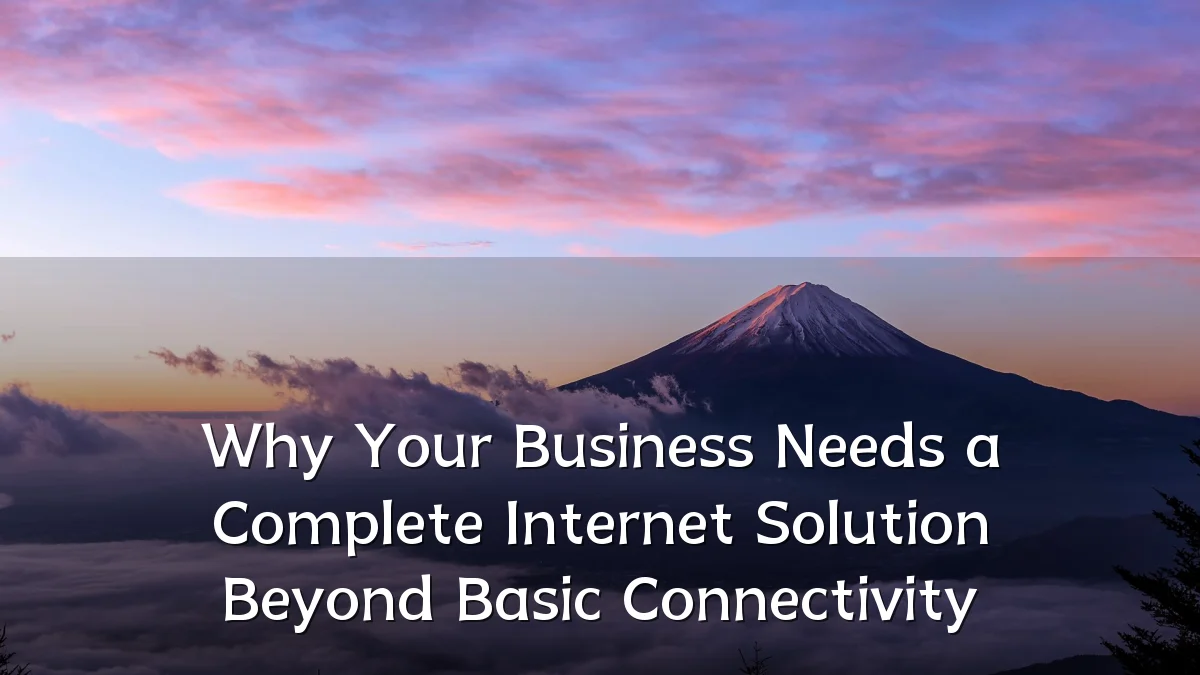 Why Your Business Needs a Complete Internet Solution Beyond Basic Connectivity