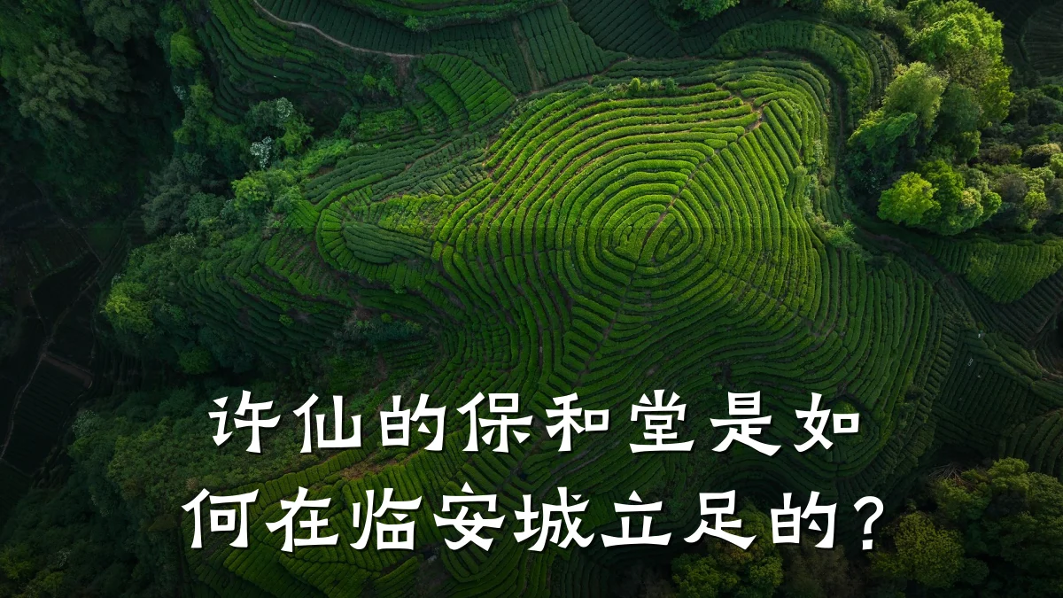 许仙的保和堂是如何在临安城立足的?