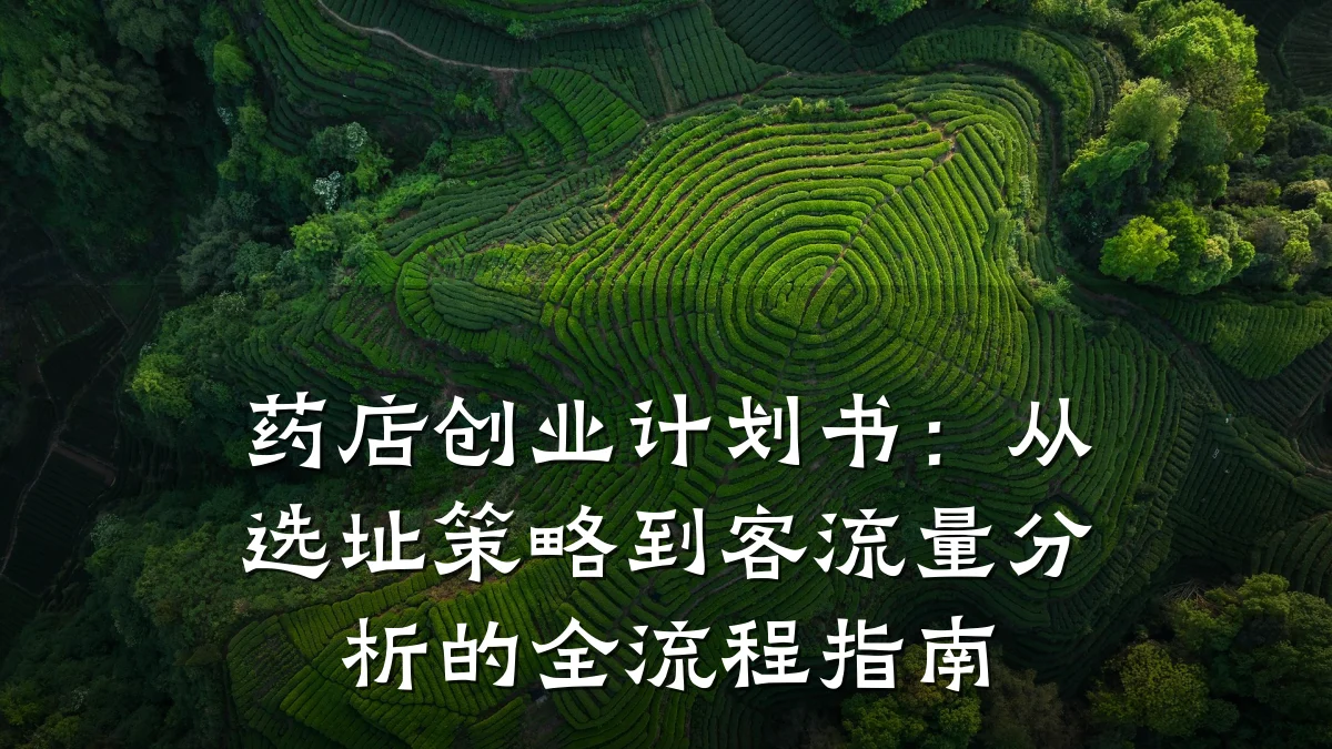 药店创业计划书:从选址策略到客流量分析的全流程指南