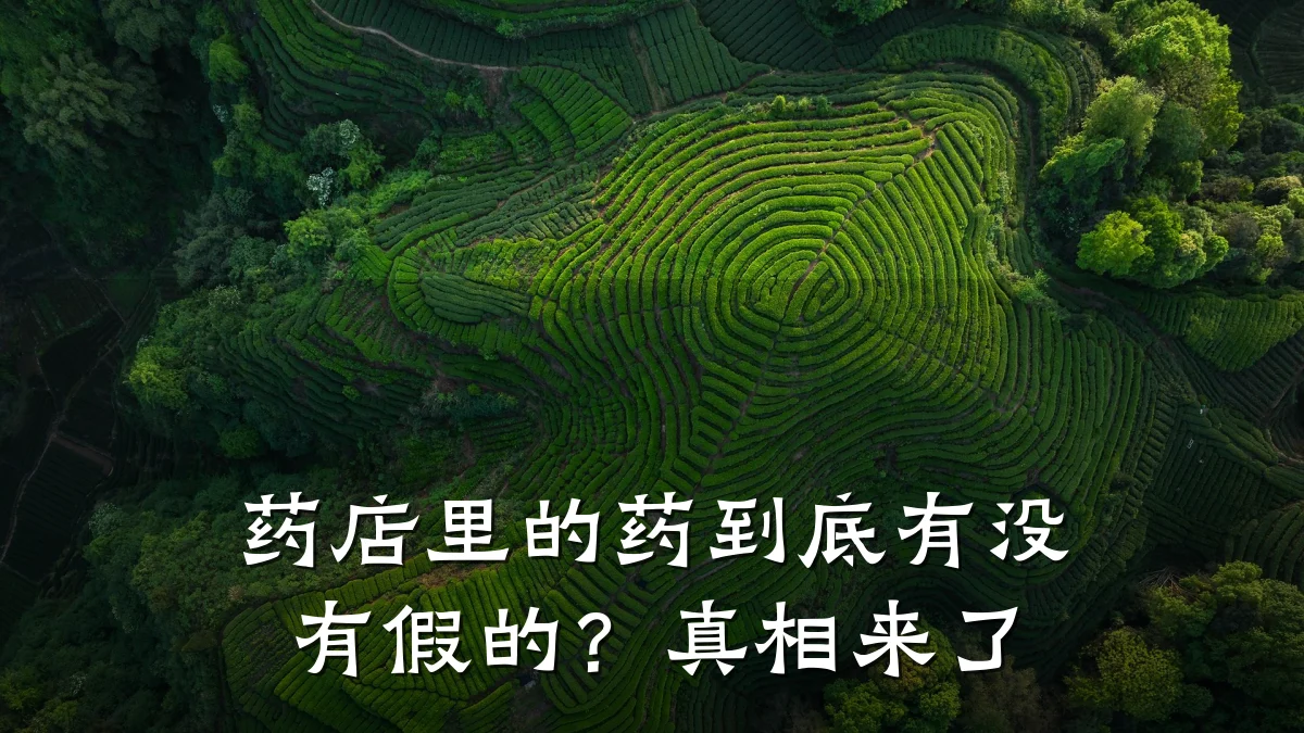 药店里的药到底有没有假的?真相来了