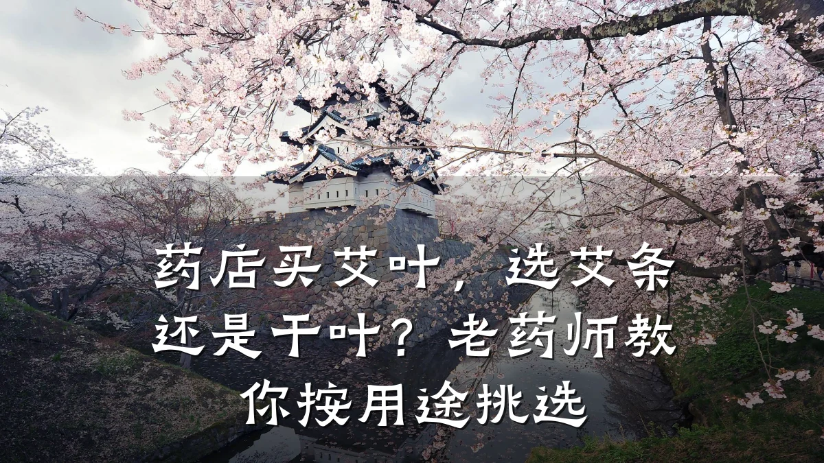 药店买艾叶,选艾条还是干叶?老药师教你按用途挑选