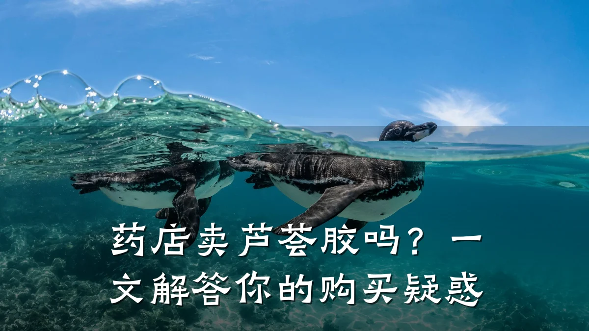药店卖芦荟胶吗？一文解答你的购买疑惑