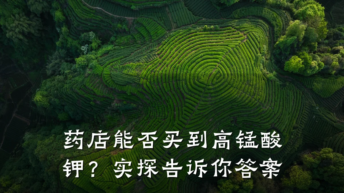 药店能否买到高锰酸钾？实探告诉你答案