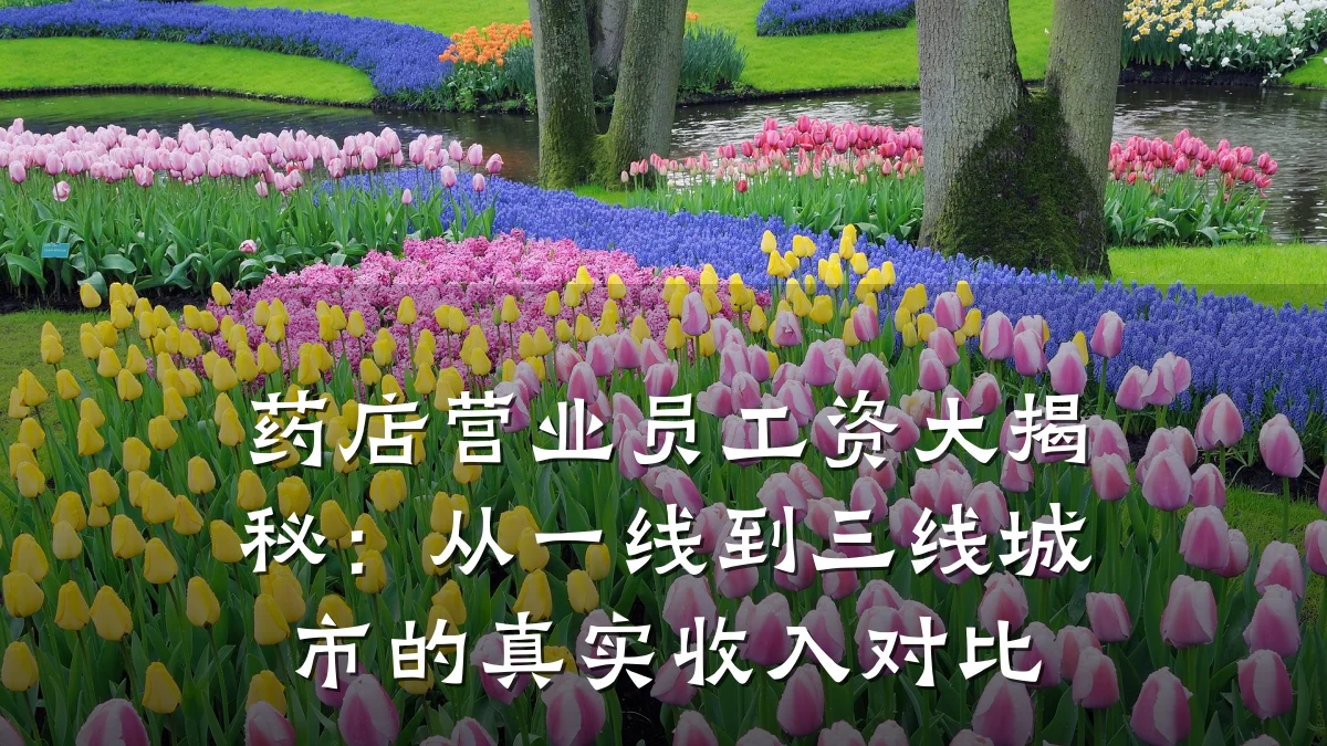 药店营业员工资大揭秘:从一线到三线城市的真实收入对比