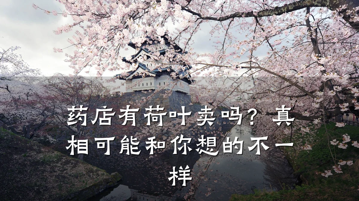 药店有荷叶卖吗？真相可能和你想的不一样