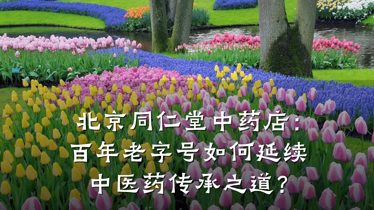 北京同仁堂中药店:百年老字号如何延续中医药传承之道?