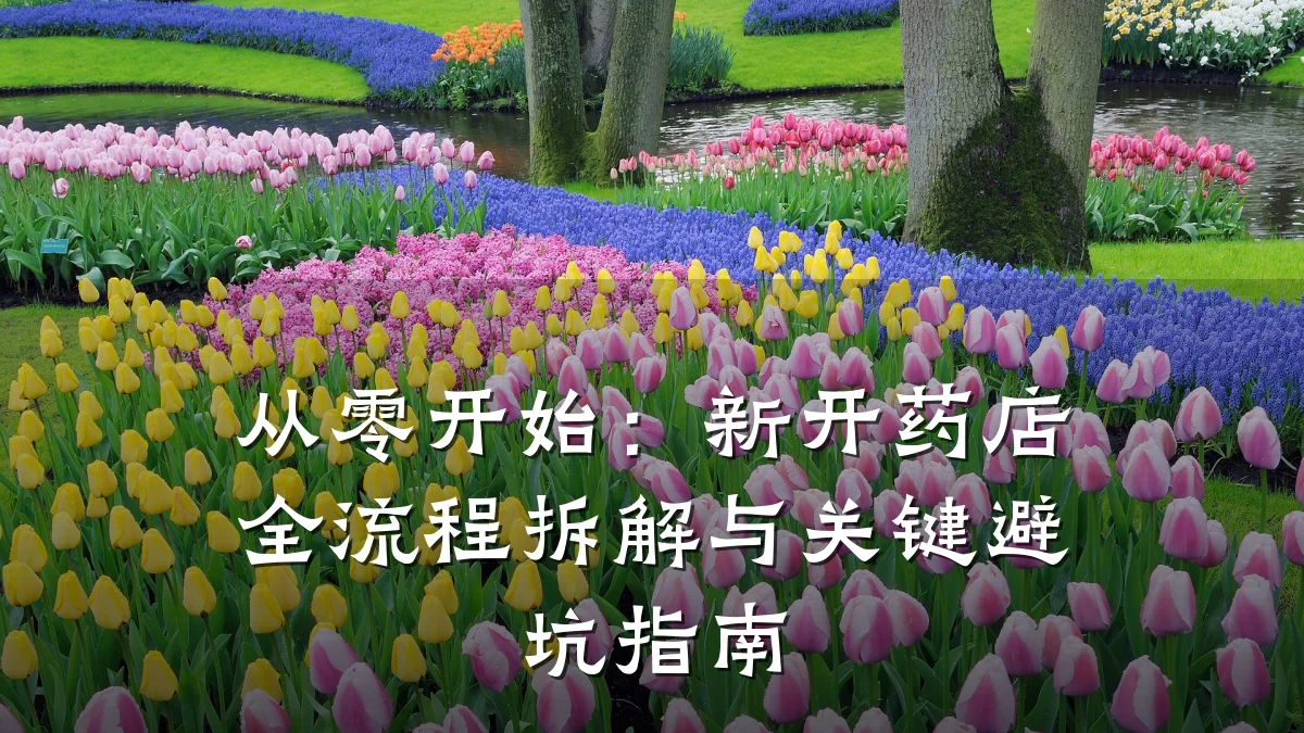 从零开始:新开药店全流程拆解与关键避坑指南