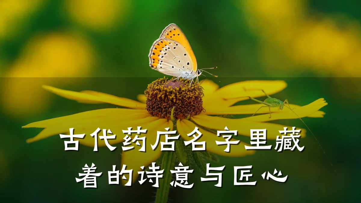 古代药店名字里藏着的诗意与匠心