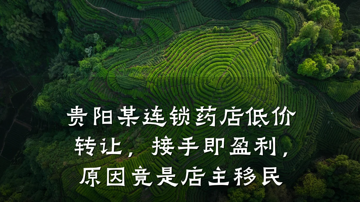 贵阳某连锁药店低价转让,接手即盈利,原因竟是店主移民