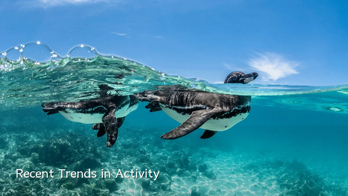 Recent Trends in Activity