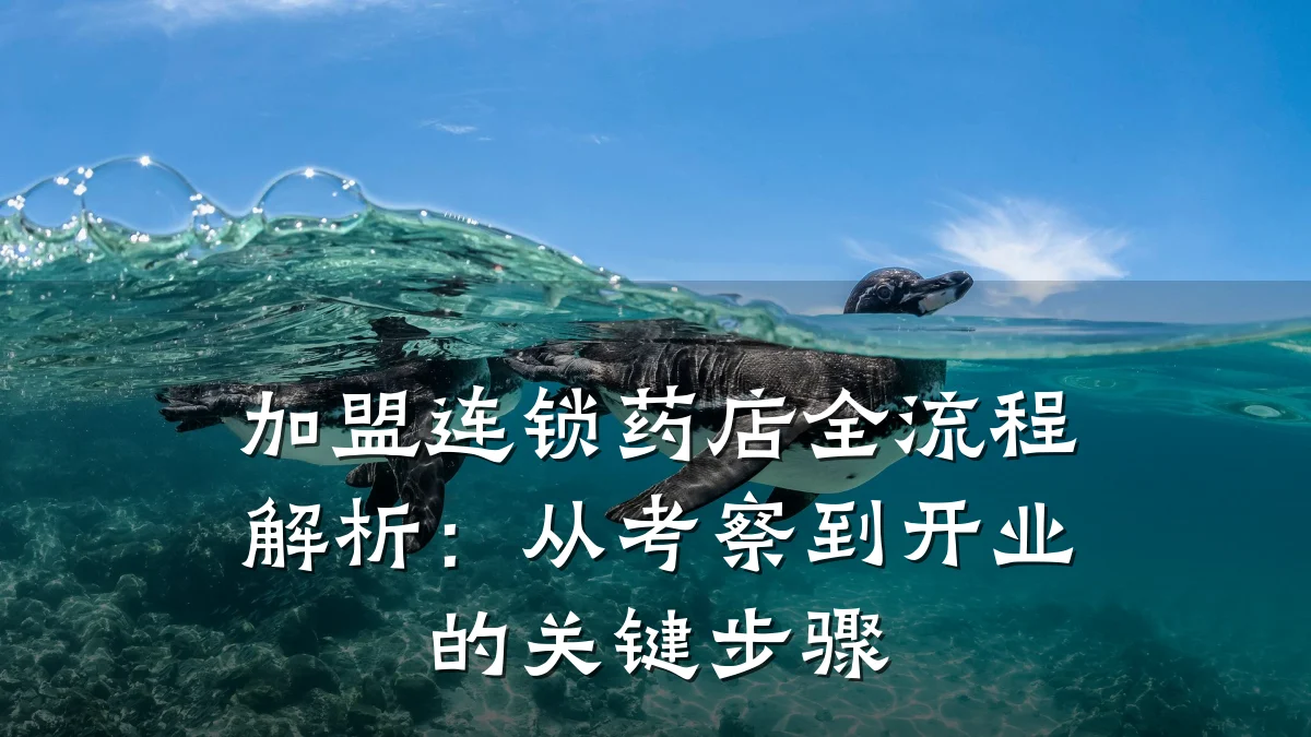 加盟连锁药店全流程解析:从考察到开业的关键步骤