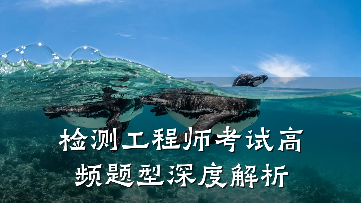 检测工程师考试高频题型深度解析