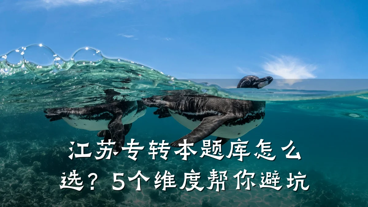 江苏专转本题库怎么选?5个维度帮你避坑