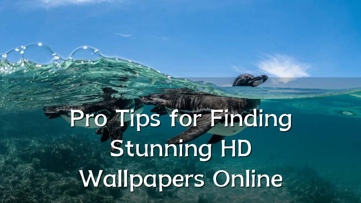 Pro Tips for Finding Stunning HD Wallpapers Online