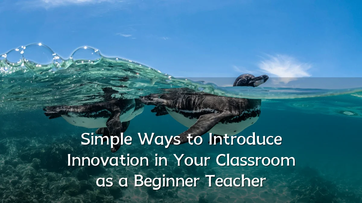 Simple Ways to Introduce Innovation in Your Classroom as a Beginner Teacher