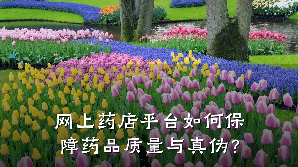 网上药店平台如何保障药品质量与真伪?