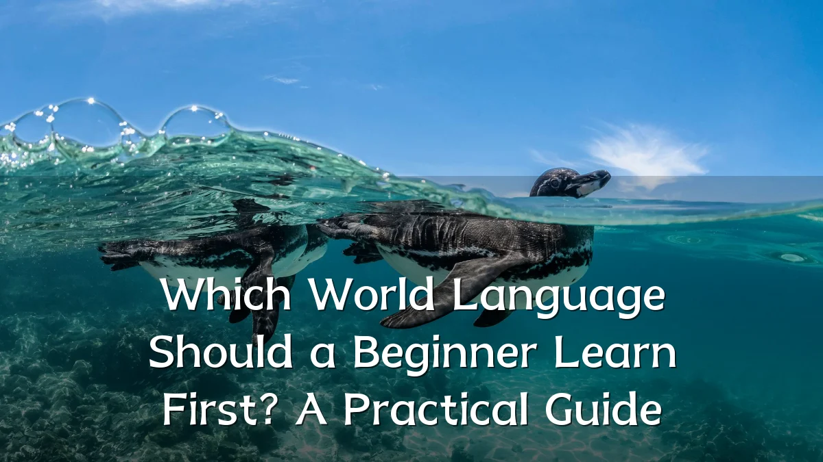 Which World Language Should a Beginner Learn First? A Practical Guide