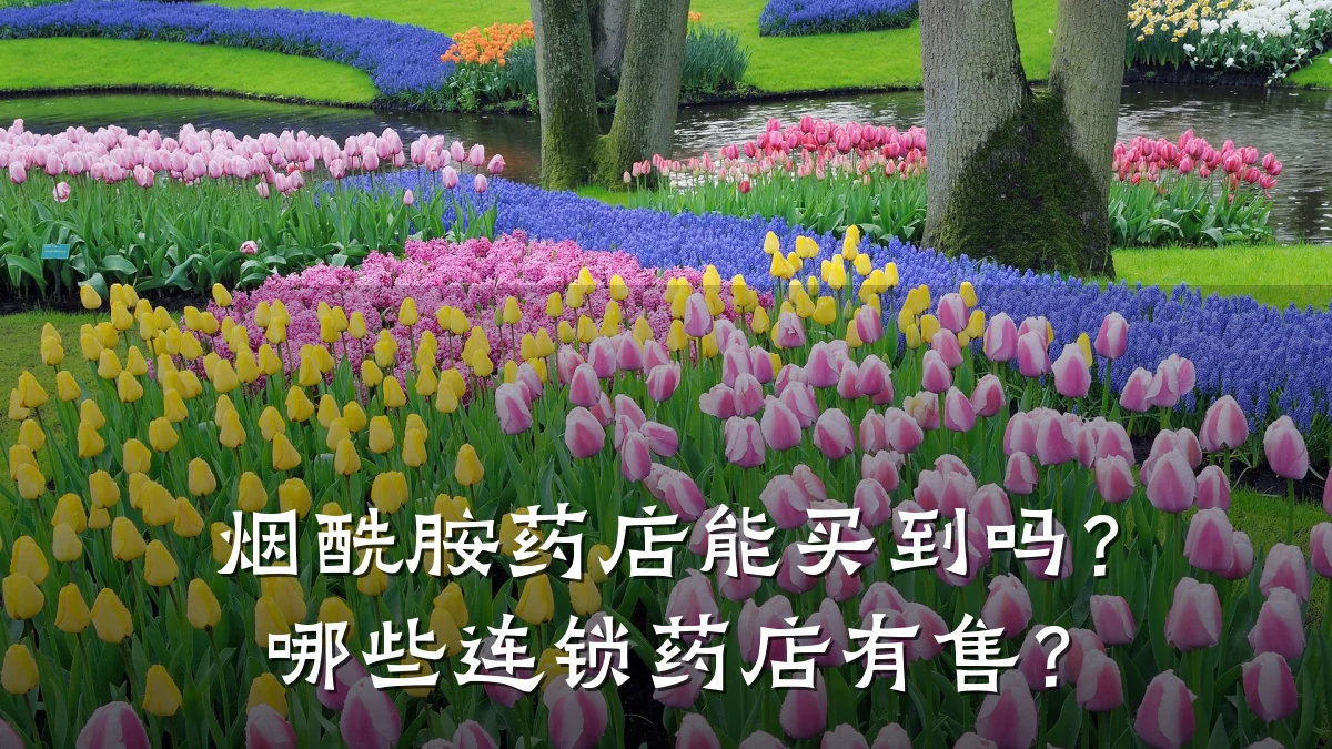 烟酰胺药店能买到吗？哪些连锁药店有售？