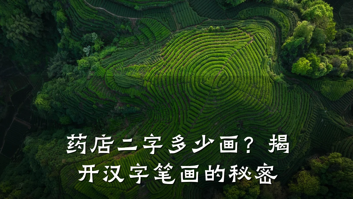 药店二字多少画？揭开汉字笔画的秘密