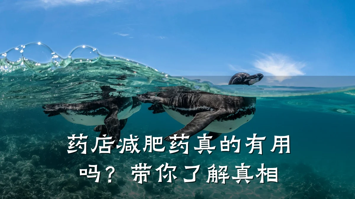 药店减肥药真的有用吗?带你了解真相