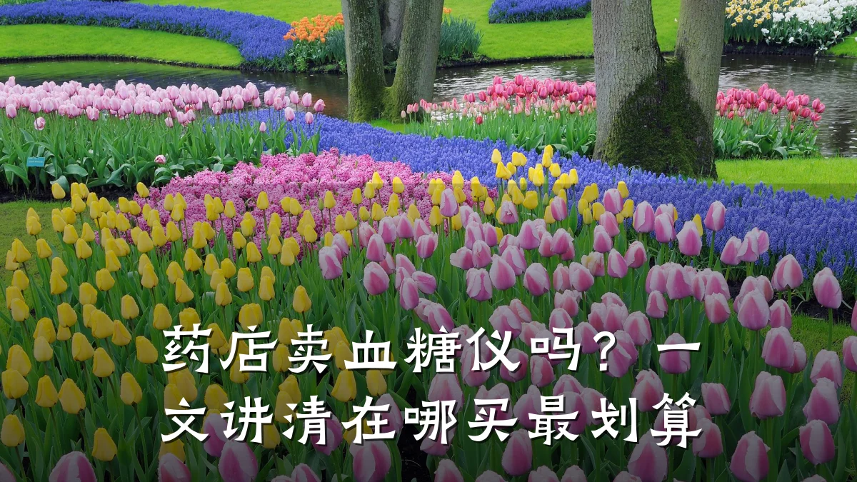 药店卖血糖仪吗?一文讲清在哪买最划算