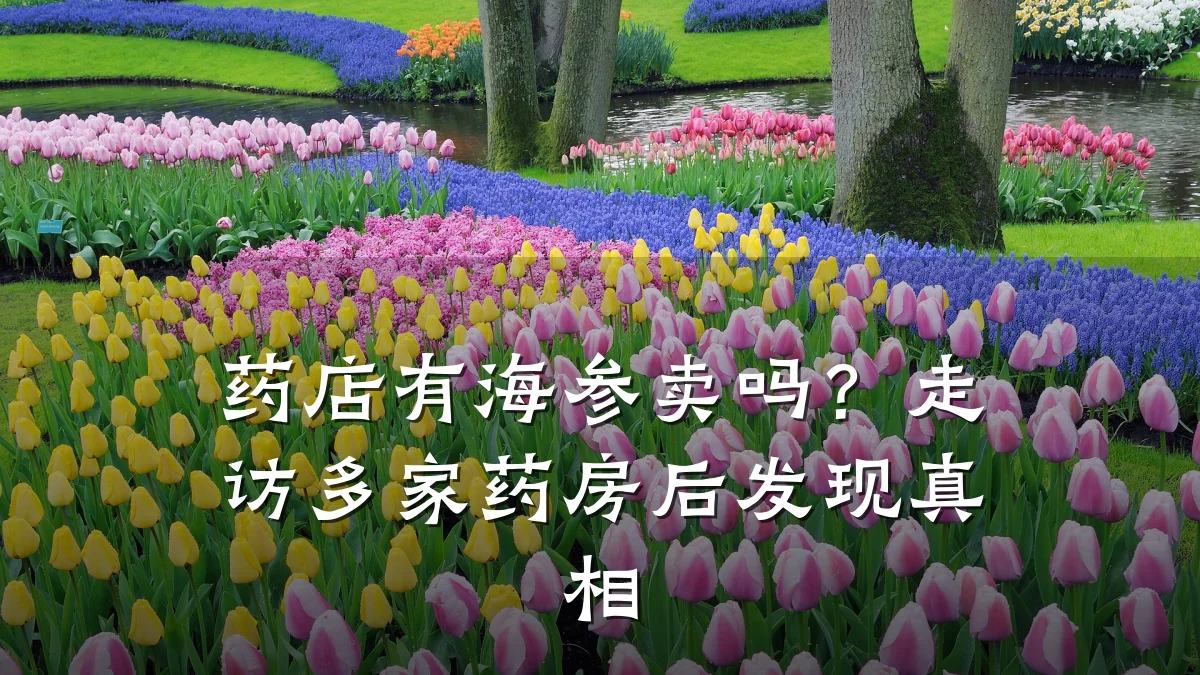 药店有海参卖吗?走访多家药房后发现真相
