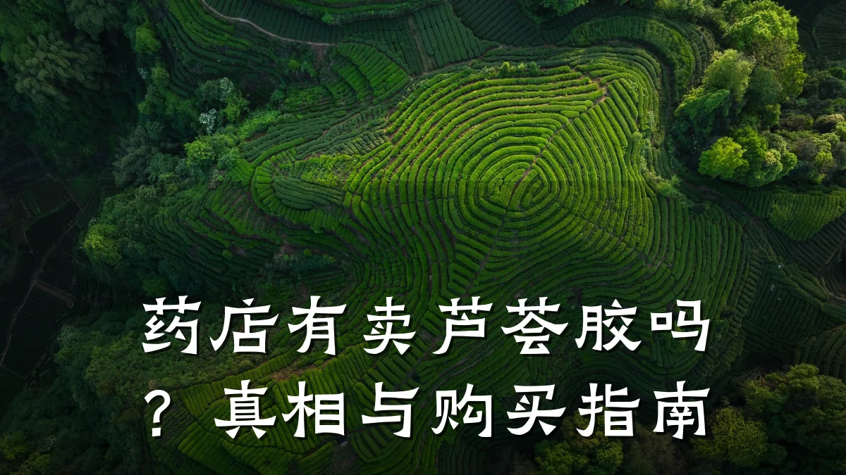 药店有卖芦荟胶吗?真相与购买指南