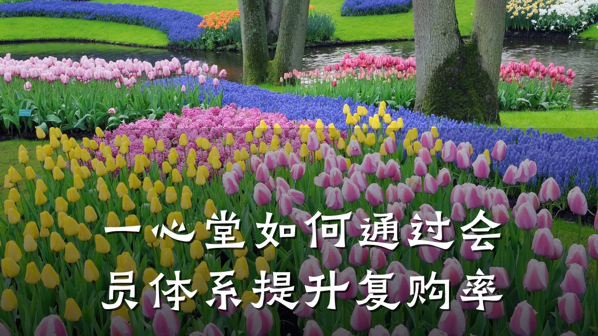 一心堂如何通过会员体系提升复购率