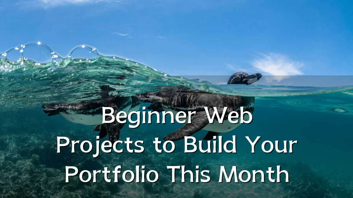 Beginner Web Projects to Build Your Portfolio This Month