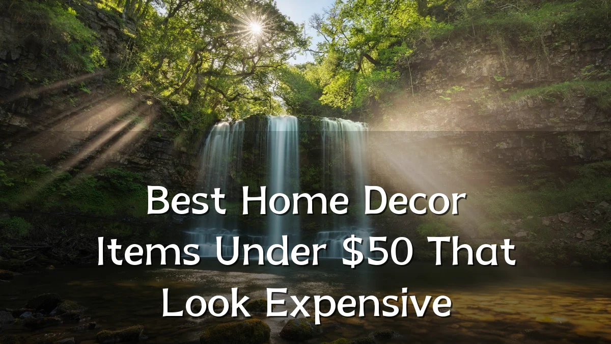 Best Home Decor Items Under $50 That Look Expensive