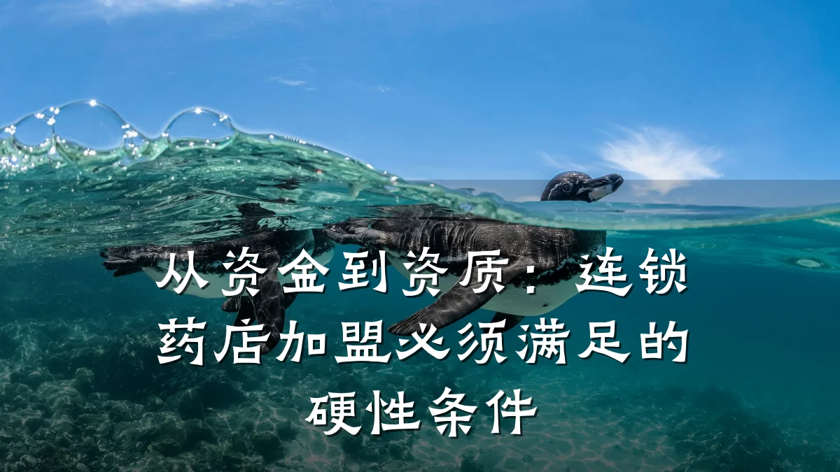 从资金到资质：连锁药店加盟必须满足的硬性条件
