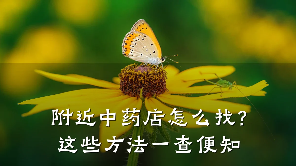 附近中药店怎么找?这些方法一查便知