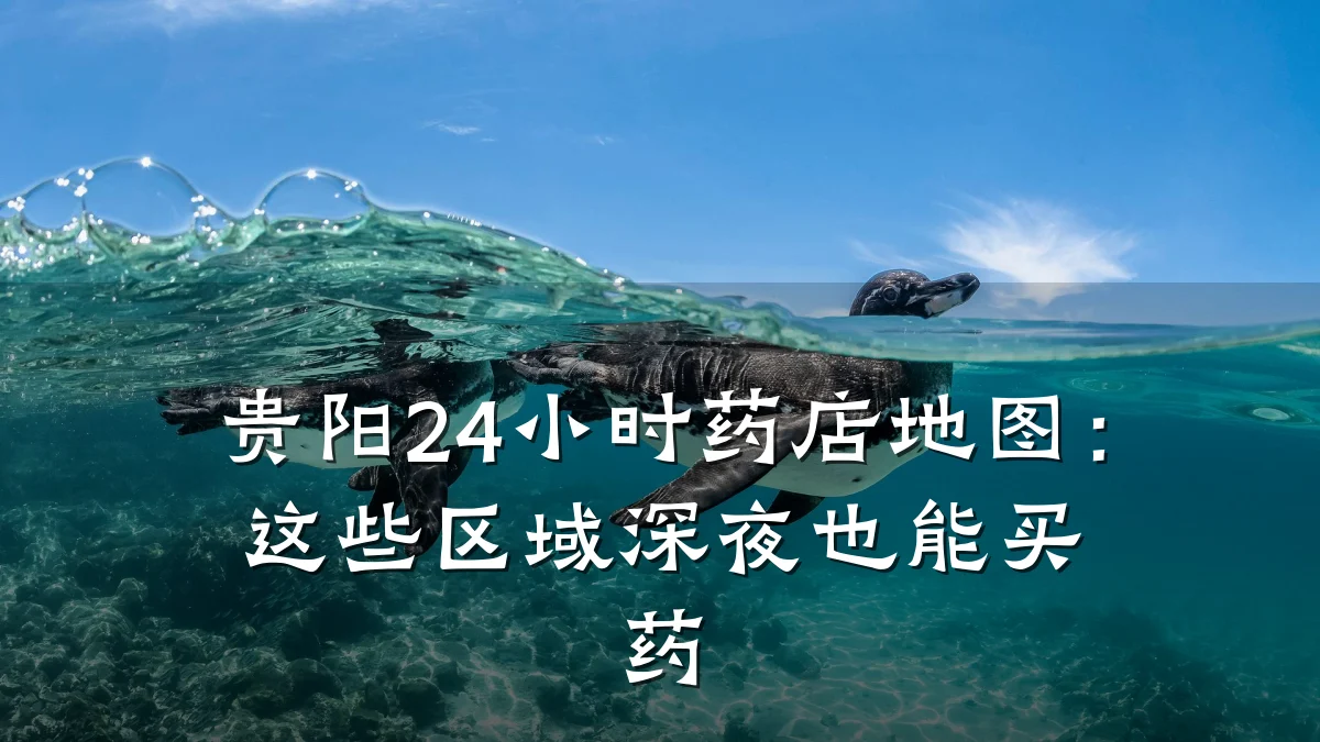 贵阳24小时药店地图:这些区域深夜也能买药