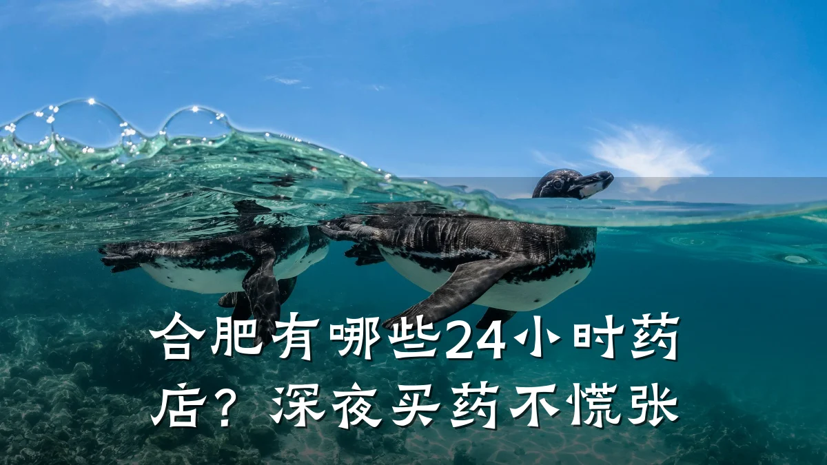 合肥有哪些24小时药店?深夜买药不慌张