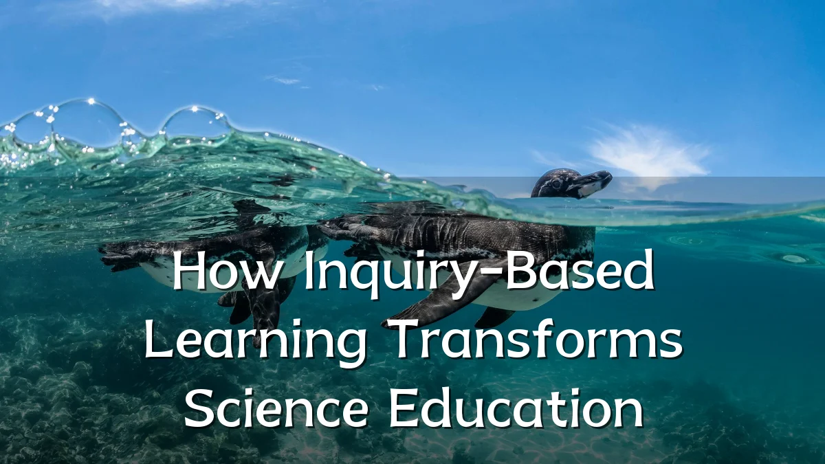 How Inquiry-Based Learning Transforms Science Education