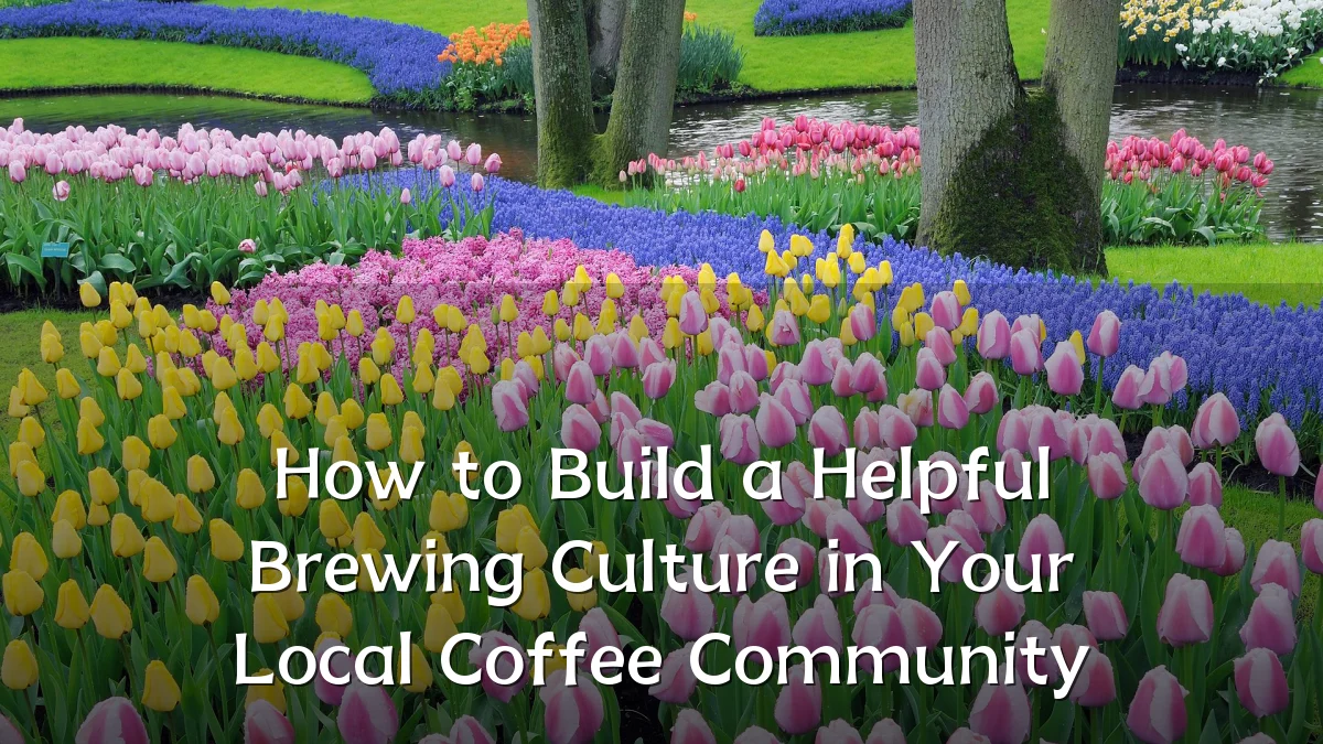 How to Build a Helpful Brewing Culture in Your Local Coffee Community