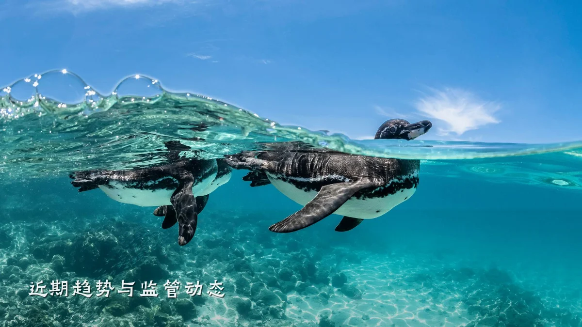 近期趋势与监管动态