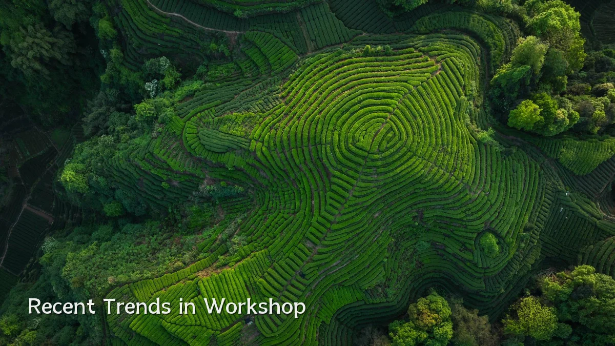 Recent Trends in Workshop