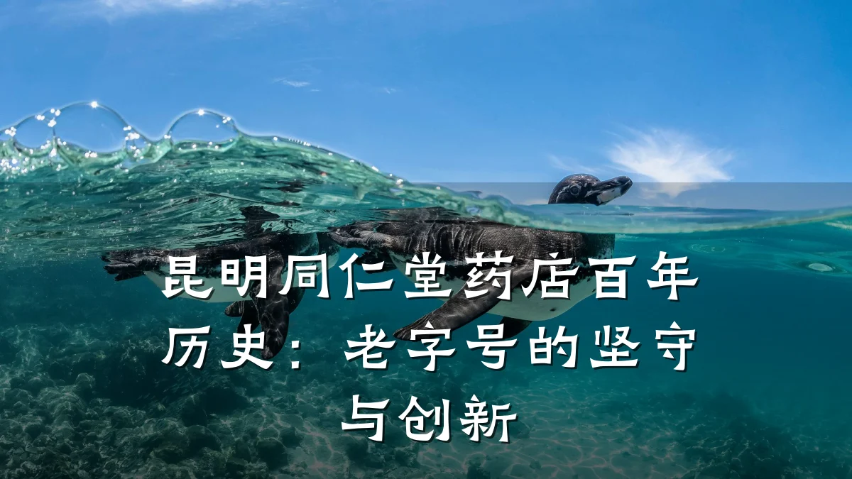 昆明同仁堂药店百年历史:老字号的坚守与创新