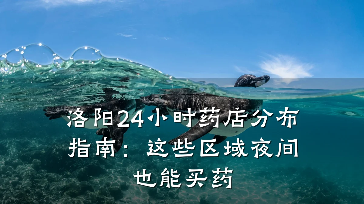 洛阳24小时药店分布指南:这些区域夜间也能买药