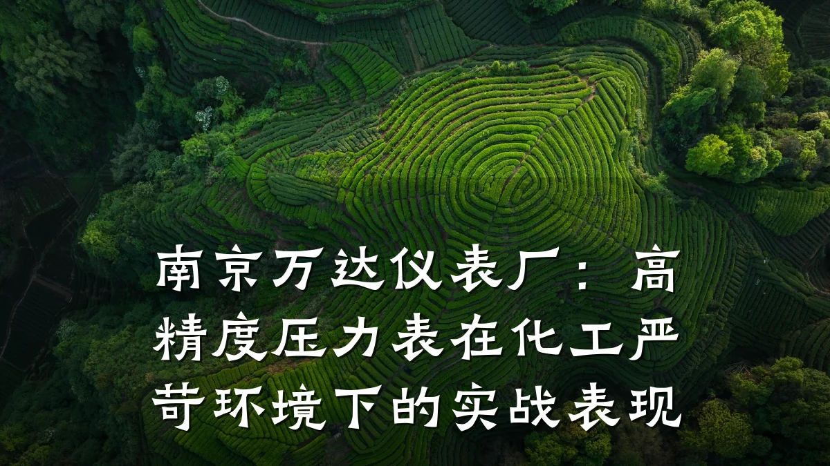 南京万达仪表厂:高精度压力表在化工严苛环境下的实战表现