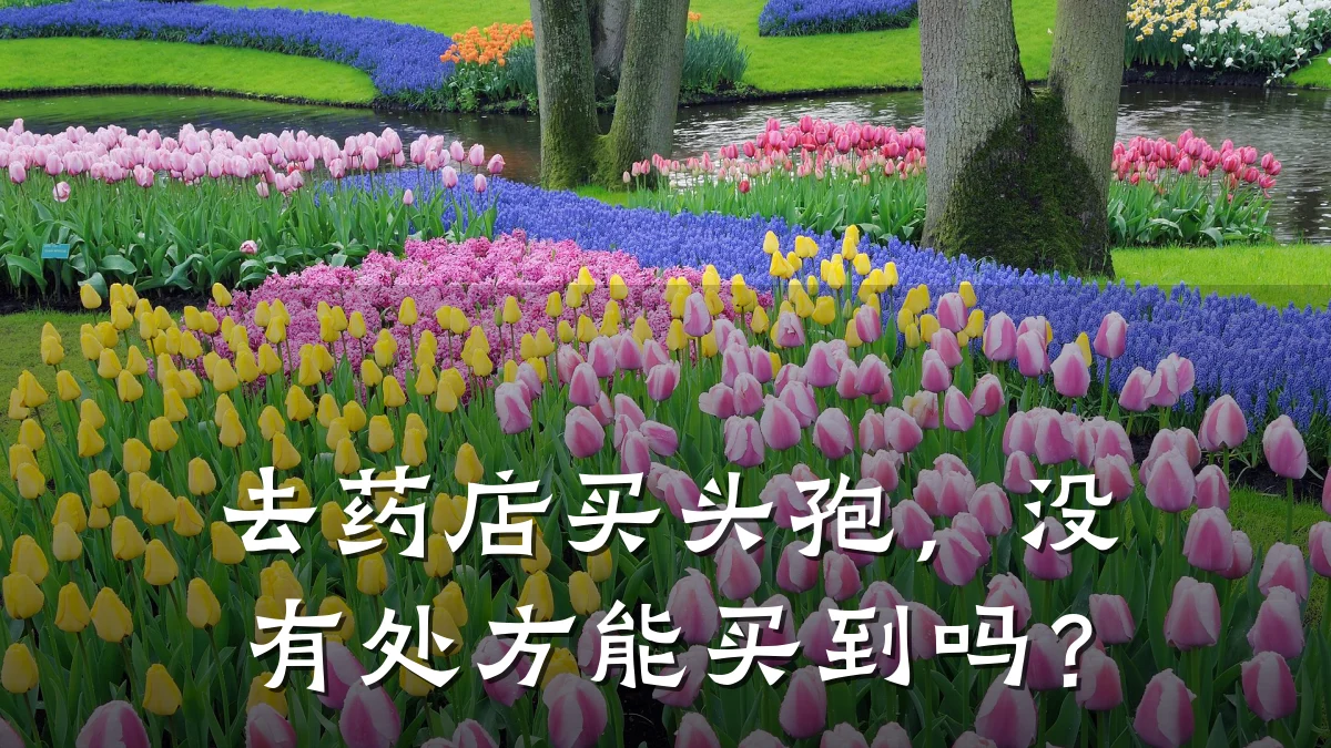 去药店买头孢,没有处方能买到吗?
